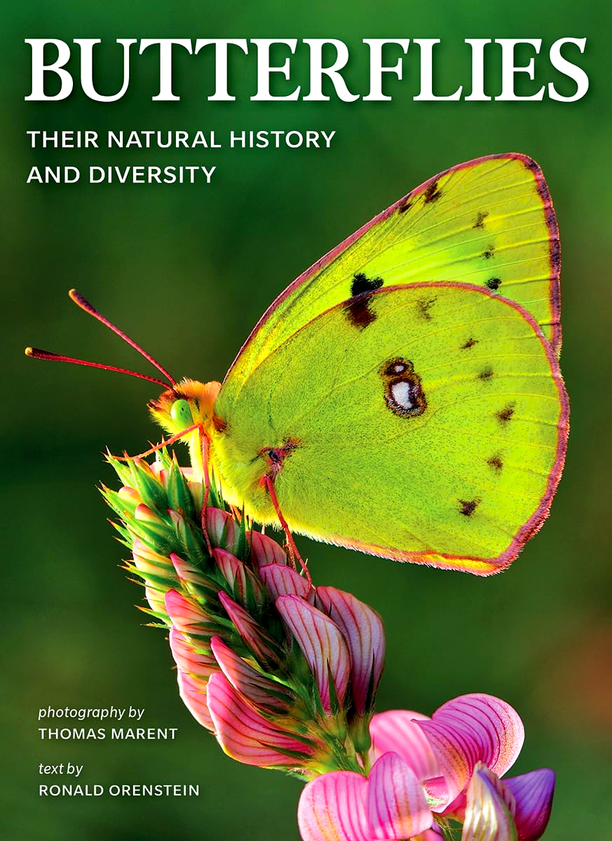BUTTERFLIES: THEIR NATURAL HISTORY AND DIVERSITY