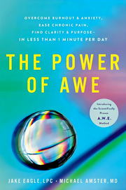 THE POWER OF AWE