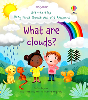 USBORNE LIFT THE FLAP: VERY FIRST QUESTIONS & ANSWERS - WHAT ARE CLOUDS?