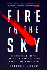 FIRE IN THE SKY