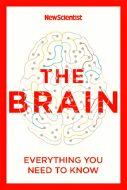 NEW SCIENTIST: THE BRAIN