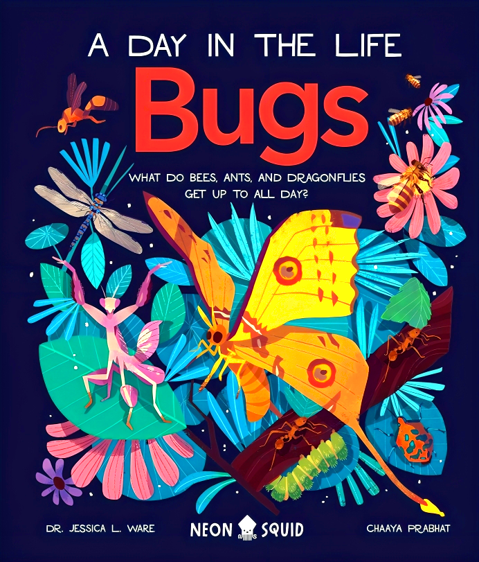 A DAY IN THE LIFE: BUGS