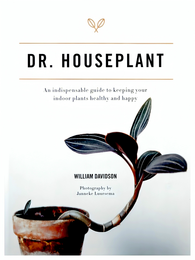DR. HOUSEPLANT