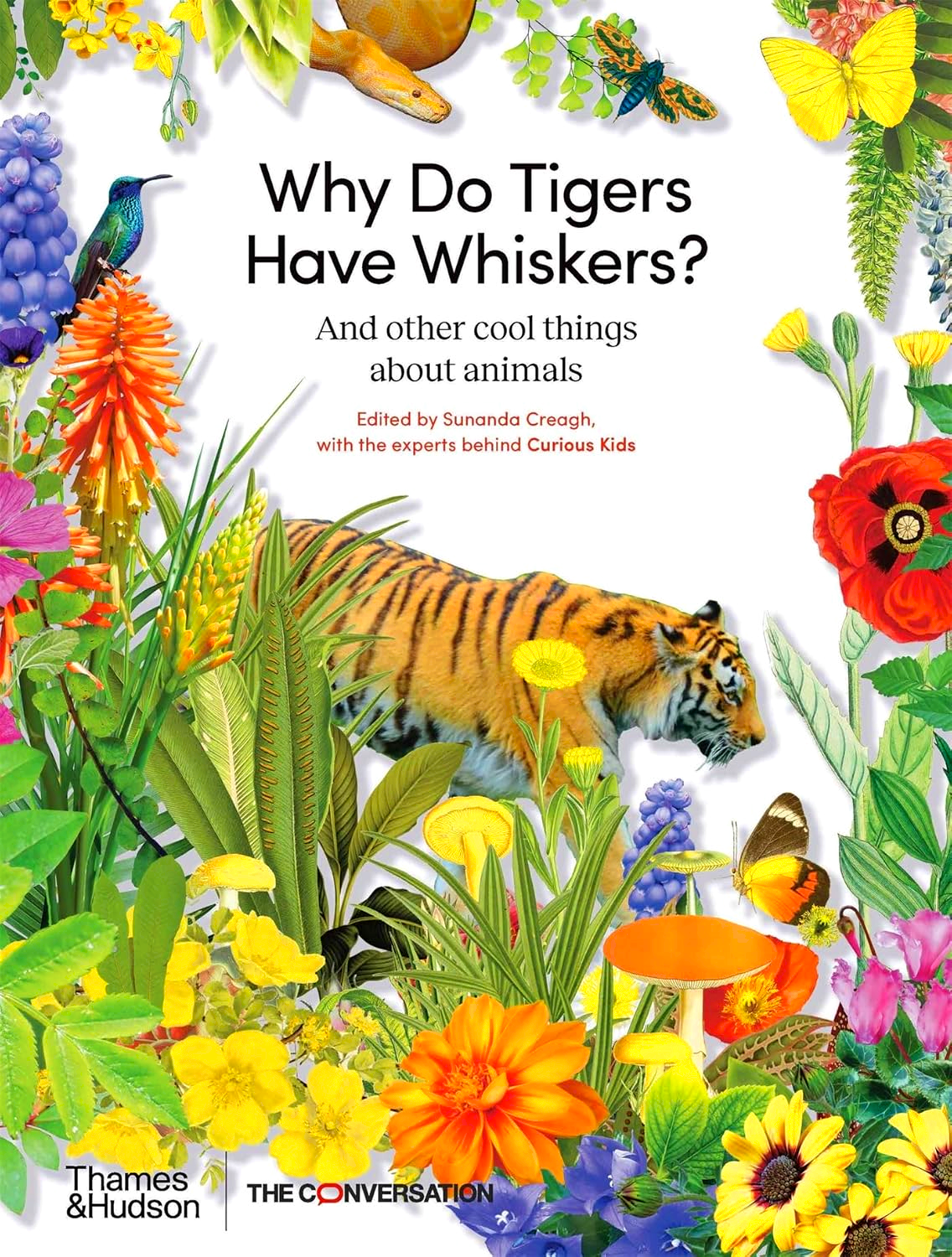 WHY DO TIGERS HAVE WHISKERS?