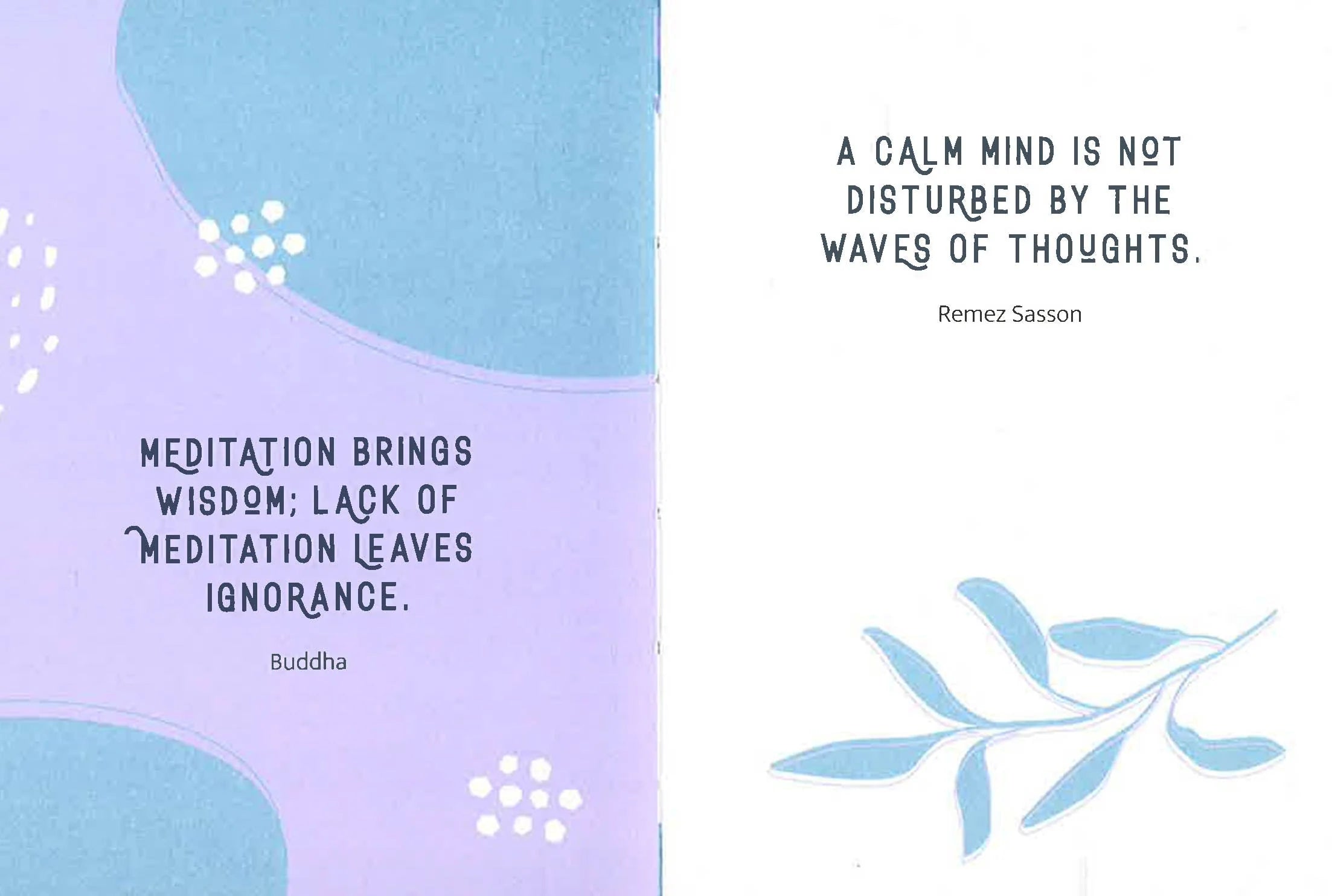MEDITATIONS FOR EVERY DAY: SIMPLE TIPS AND CALMING QUOTES TO HELP