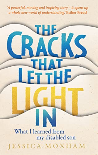 THE CRACKS THAT LET THE LIGHT IN