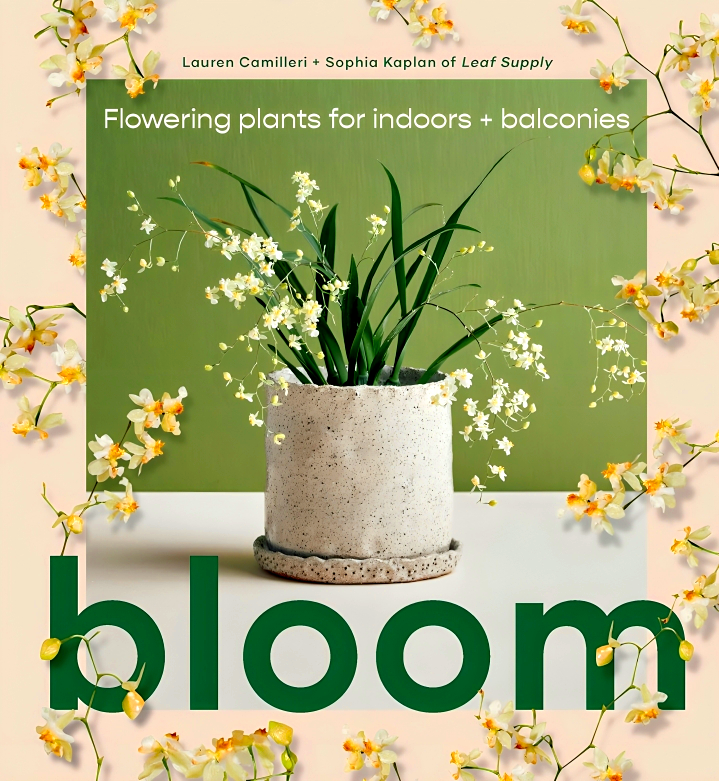 BLOOM: FLOWERING PLANTS FOR INDOORS AND BALCONIES