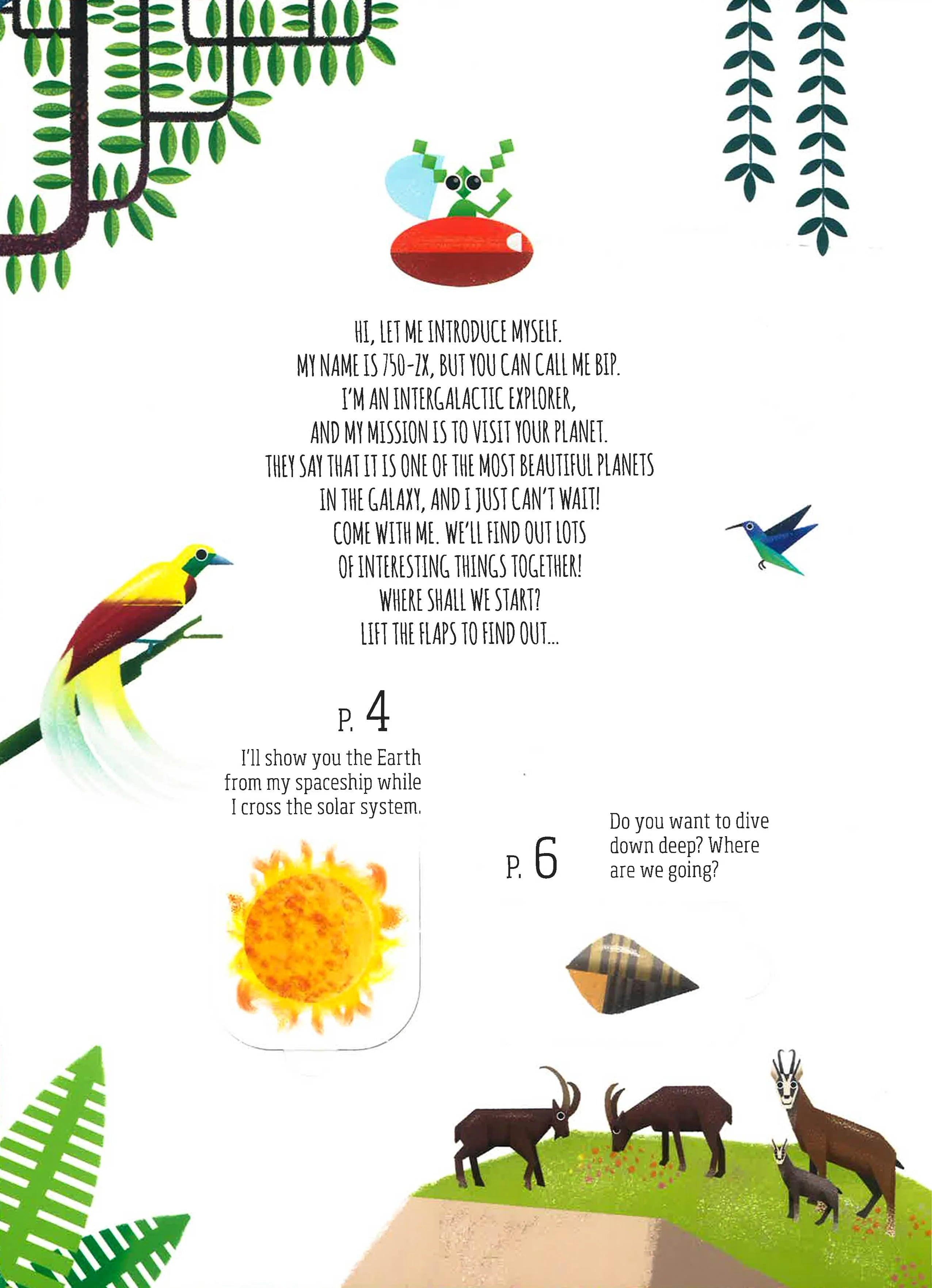 LIFT THE FLAP: DISCOVER THE WONDERS OF OUR PLANET