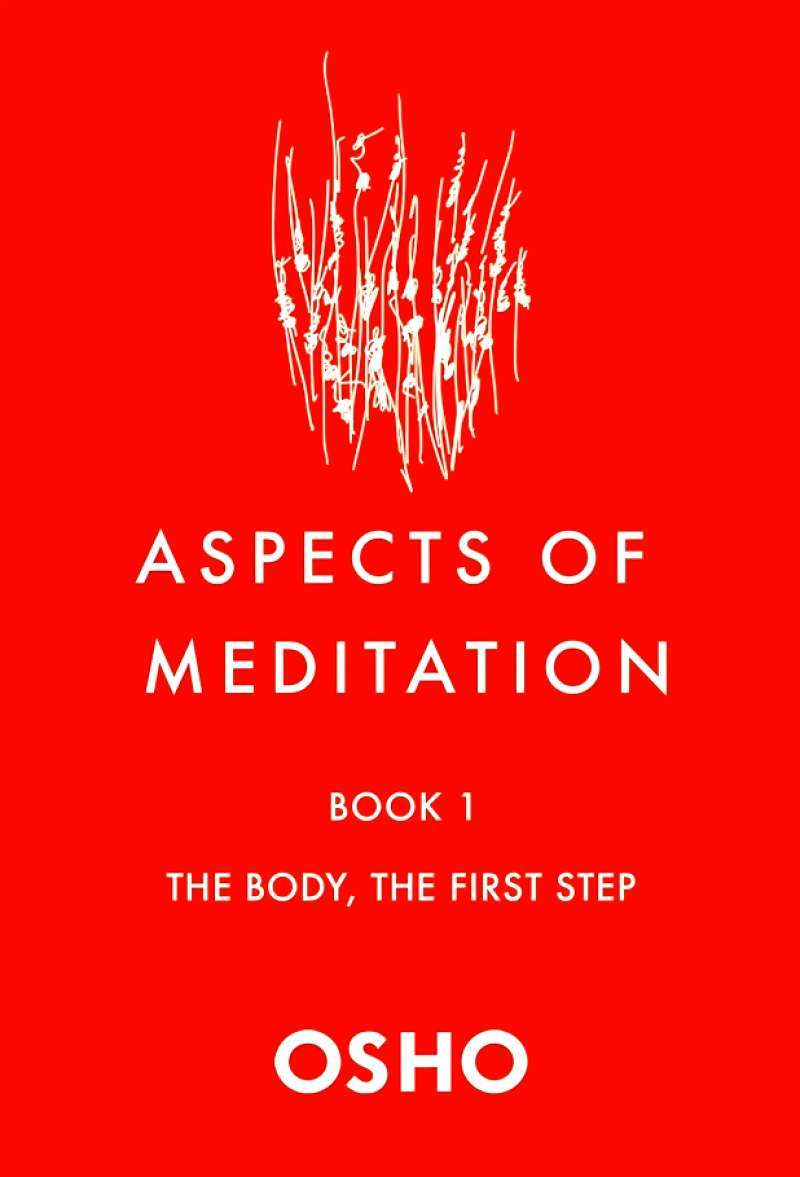 ASPECTS OF MEDITATION #1: THE BODY, THE FIRST STEP