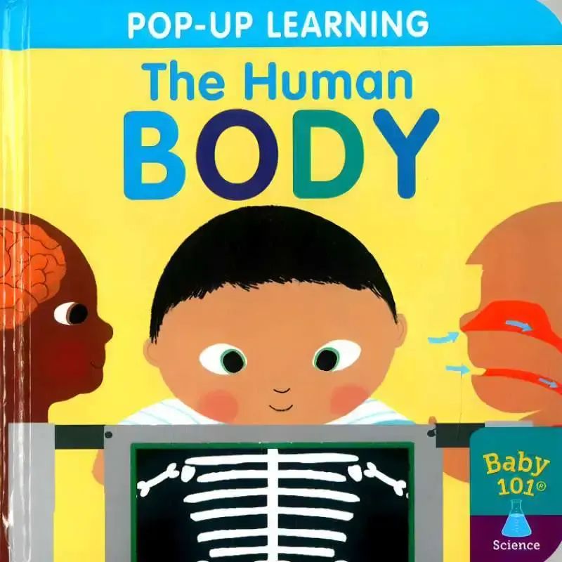 BABY 101 POPUP LEARNING  THE HUMAN BODY