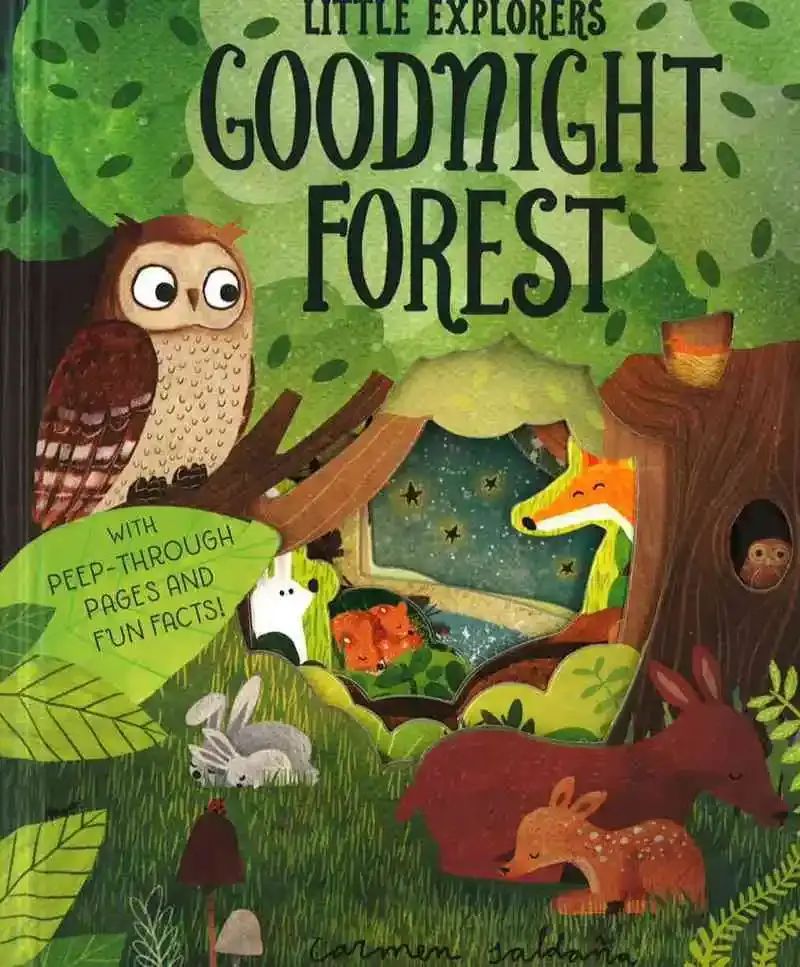 LITTLE EXPLORERS: GOODNIGHT FOREST