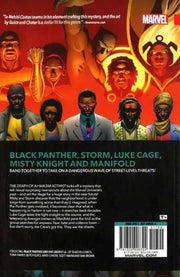 BLACK PANTHER AND THE CREW: WE ARE THE STREETS