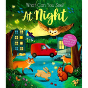 WHAT CAN YOU SEE?: AT NIGHT