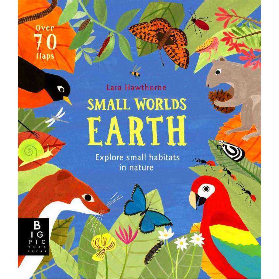 SMALL WORLDS: EARTH